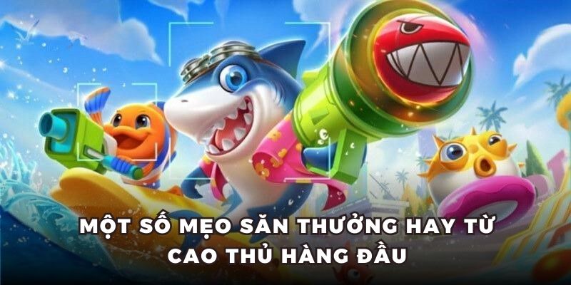 Một số mẹo săn thưởng hay từ cao thủ hàng đầu