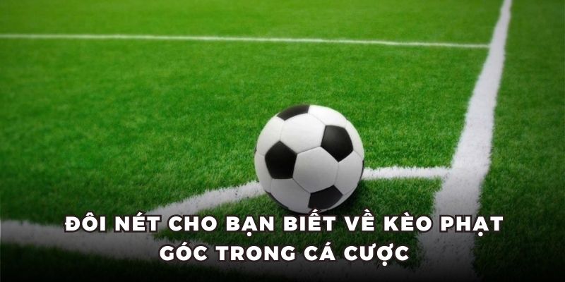 Đôi nét cho bạn biết về kèo phạt góc trong cá cược