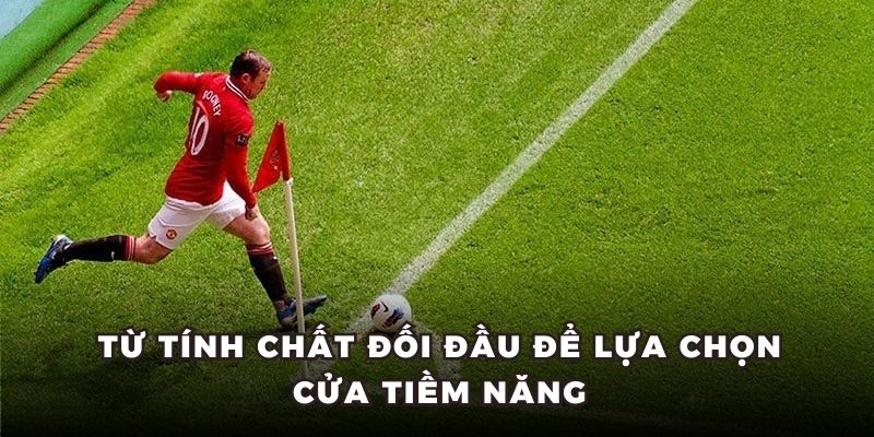 Từ tính chất đối đầu để lựa chọn cửa tiềm năng